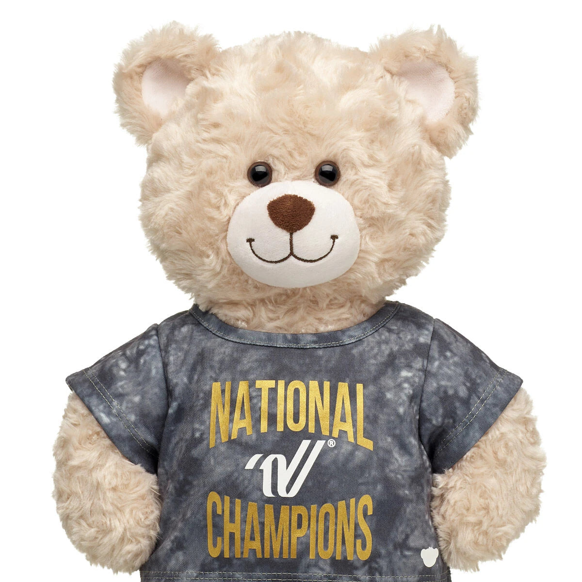 Varsity Spirit National Champions T-Shirt | Build-A-Bear® - US 9633