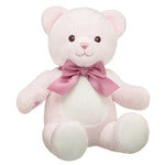 Baby Pink Teddy Bear with Gifting Bow | Build-A-Bear® - US 2130