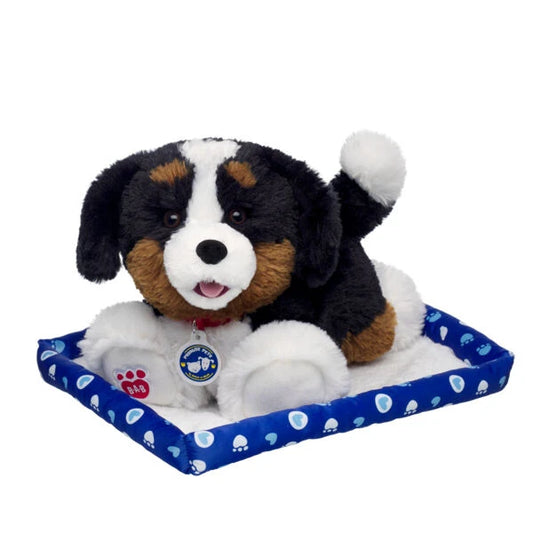 Promise Pets Bernese Mountain Dog Stuffed Animal w/ Blue Bed | Build-A-Bear - US 4849