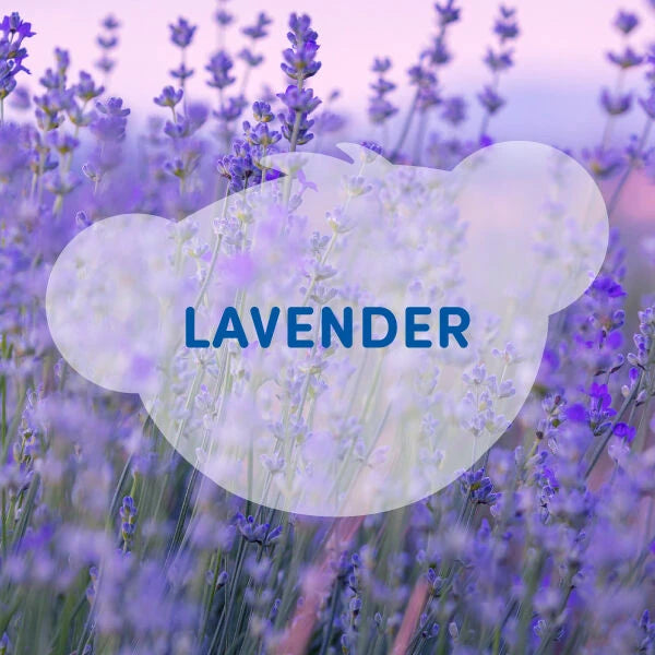 SCENTiments™ Lavender Scent for Stuffed Animals | Build-A-Bear® - US 3094