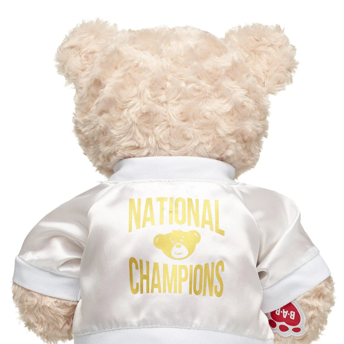Varsity Spirit National Champions Jacket | Build-A-Bear® - US 8153